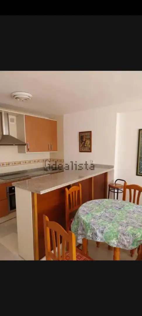 Cocina de Piso de alquiler en Benalmádena con Amueblado