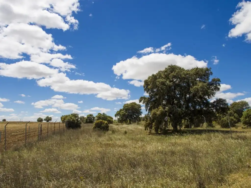 Finca rústica en venda en Navalcarnero