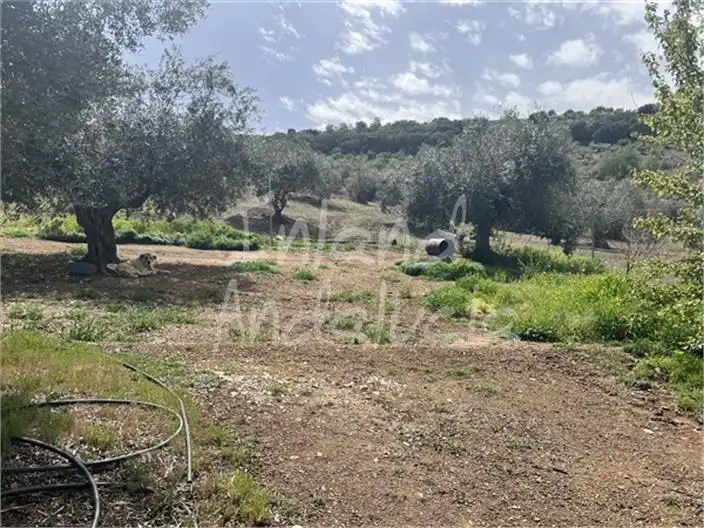 Casa rústica en venda a Castillo de Locubín, imagen 10