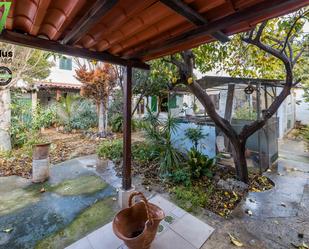 Garden of House or chalet for sale in  Palma de Mallorca  with Private garden and Terrace