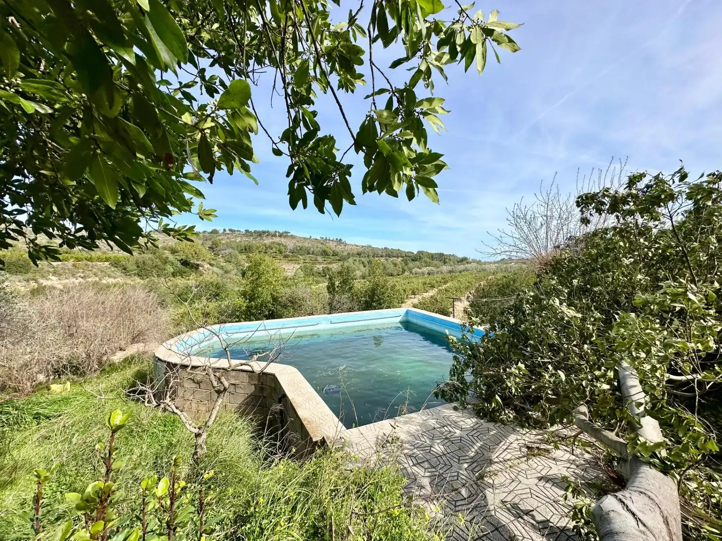 Piscina de Casa o chalet en venta en Carlet con Piscina