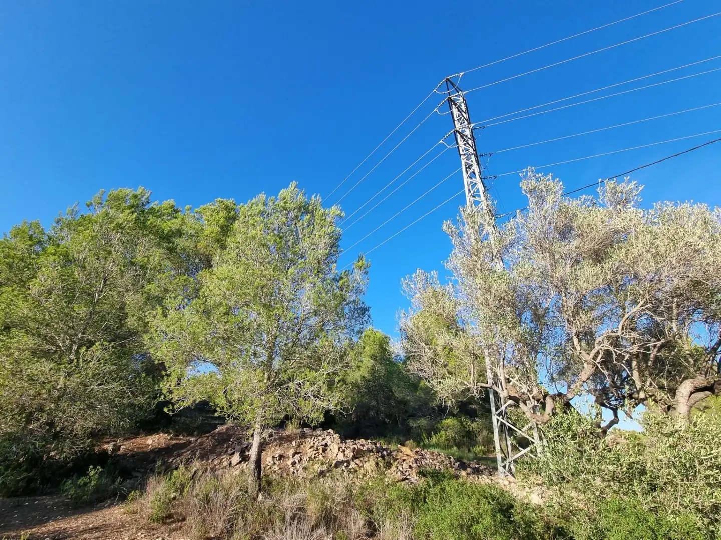 Terreno rústico en venta en Avenida Camí de l'Ametlla de Mar al Perelló, imagen 3