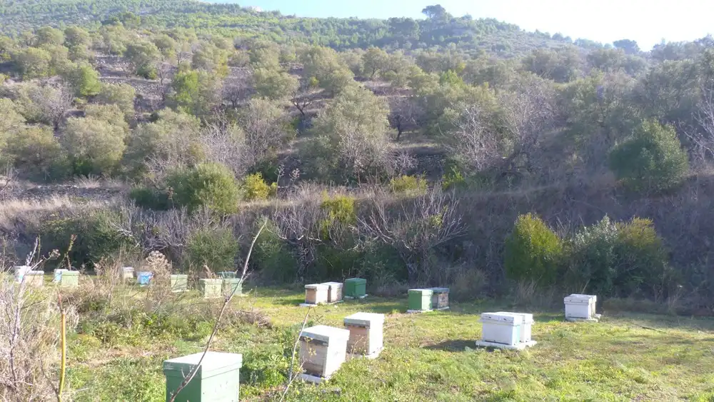 Terreni e lotti in vendita a Ítrabo, imagen 4