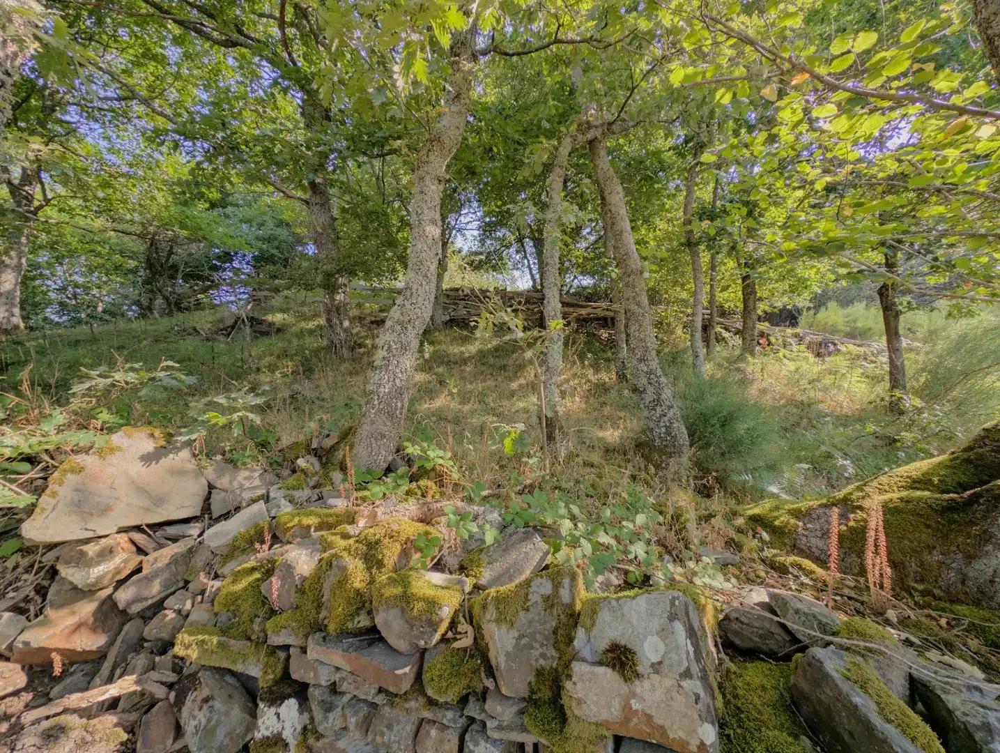 Casa o xalet en venda en Aller amb Jardí privat