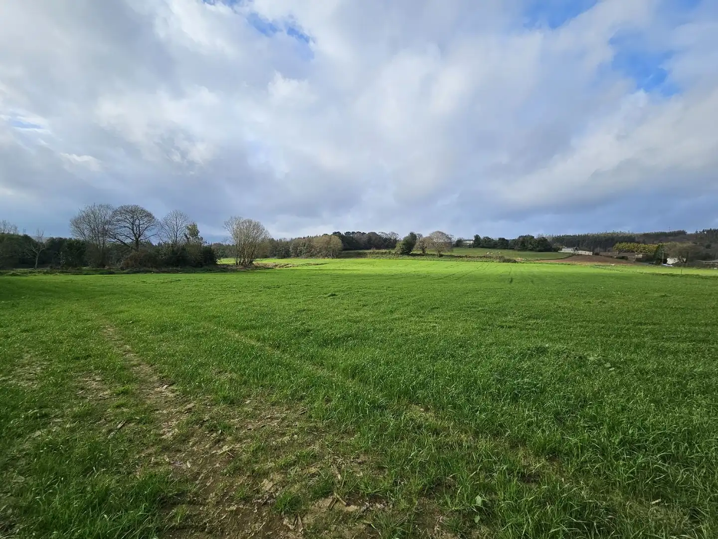 Finca rústica en venta en Abegondo