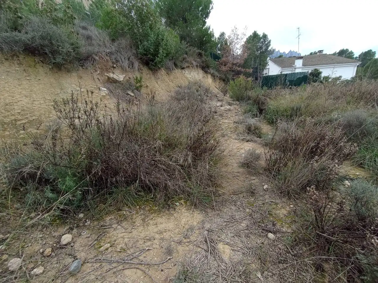 Terreny rústic en venda a Castellbell i el Vilar, imagen 4