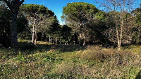 Foto 5 de Residencial en venta en Niàgara Parc - Ágora Parc, Tordera