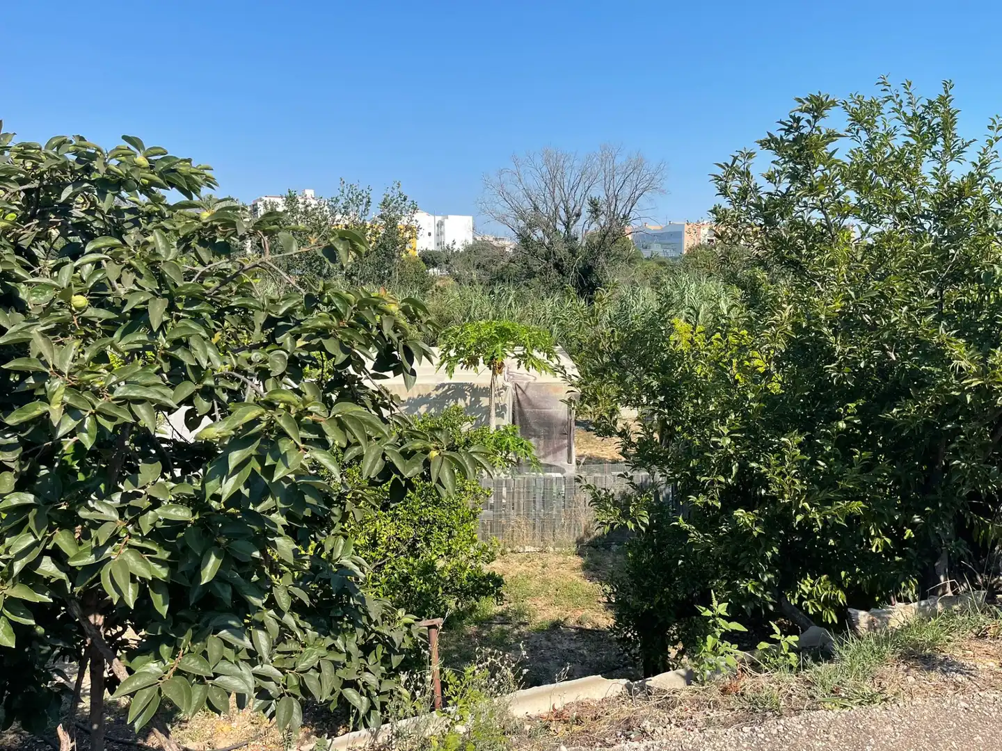 Houses for sale in Carretera d'Almoines, 35, Benipeixcar - El Raval