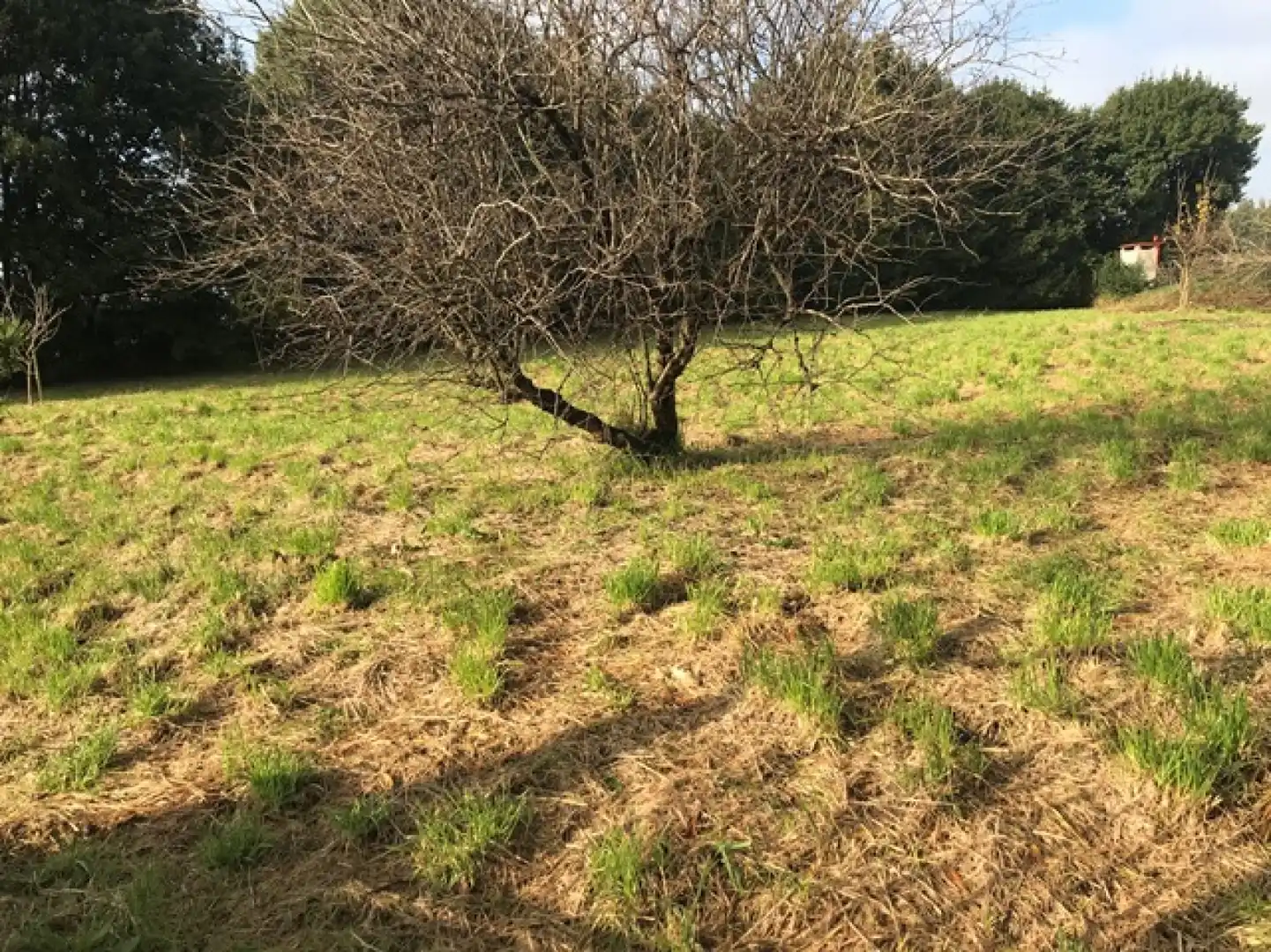 Terreno residenziale in vendita a Verdicio - Bañugues - Cabo Peña, imagen 2