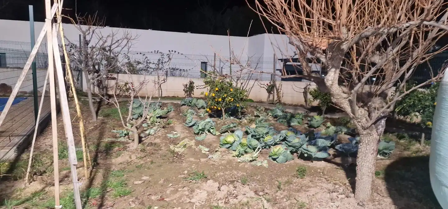 Jardí de Casa o xalet en venda en Cadrete amb Aire condicionat, Calefacció i Jardí privat