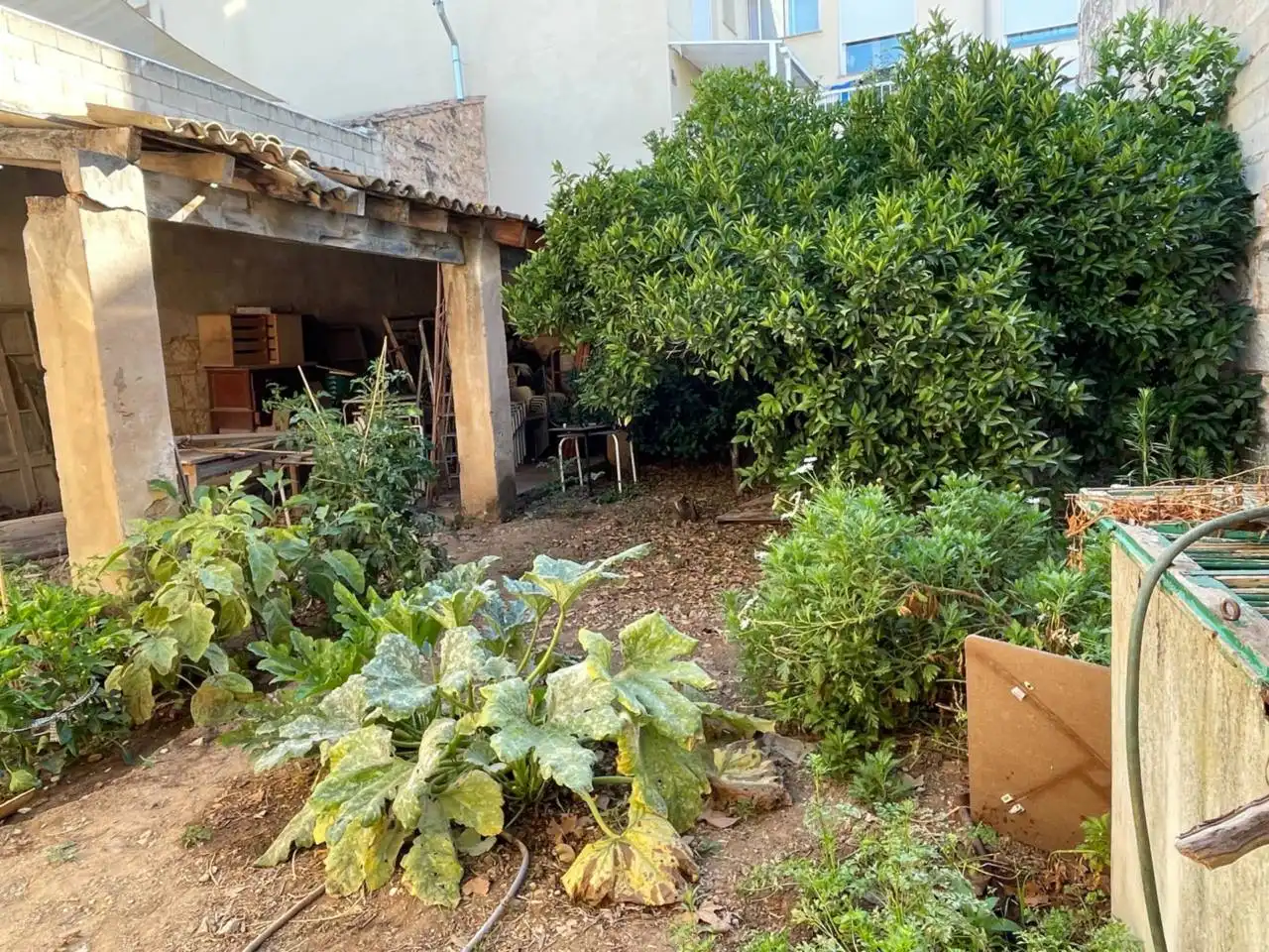 Jardí de Casa o xalet en venda en Sa Pobla