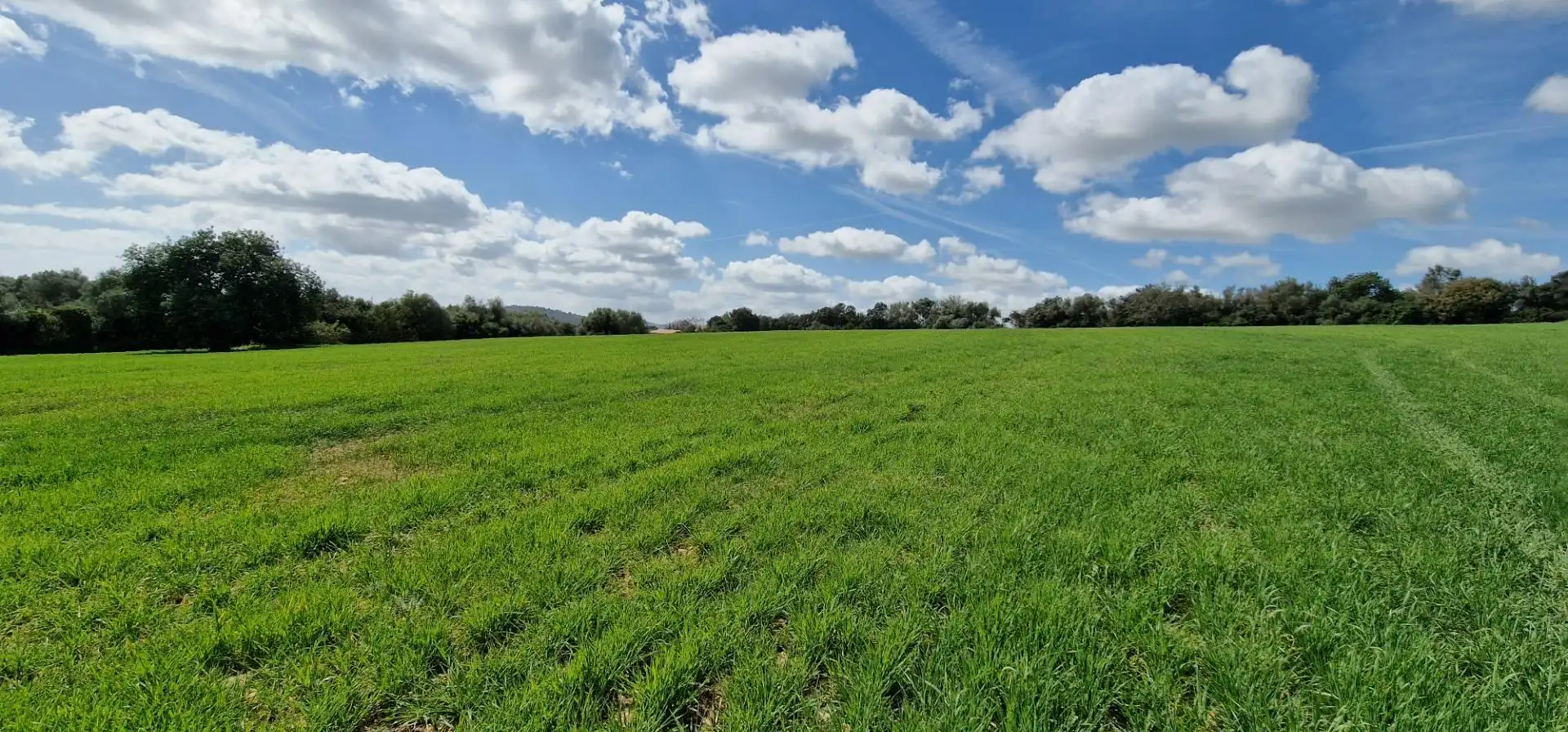 Country homes for sale in Manacor