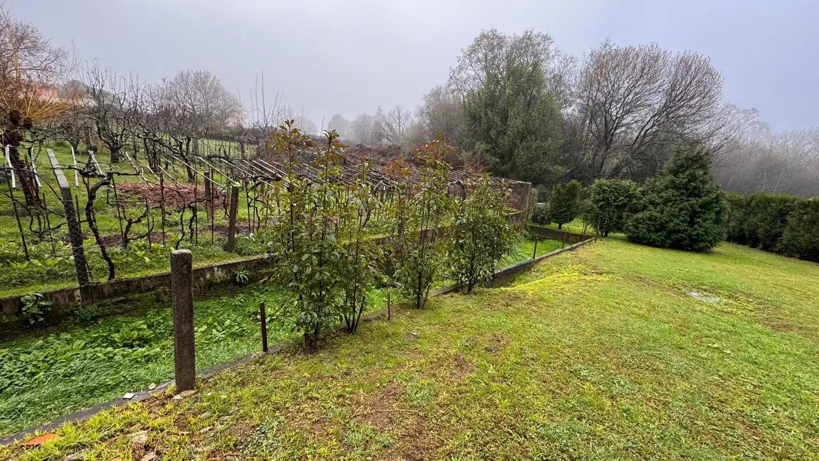 Maison à vendre à MOURENTE-MOURENTE, imagen 56