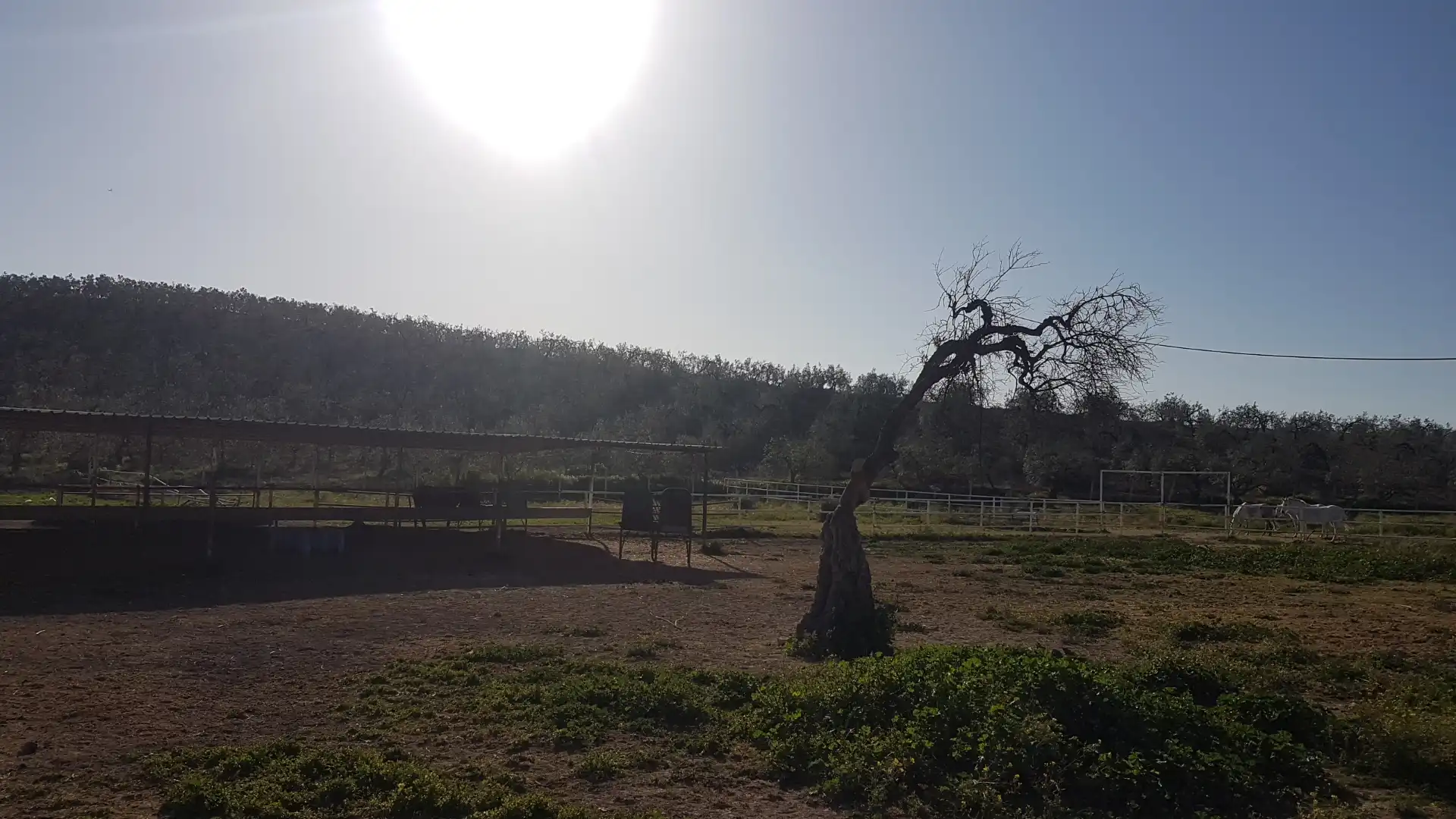 Terreni e lotti in vendita a Sanlúcar la Mayor, imagen 10
