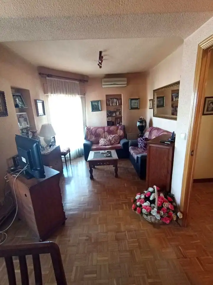 Sala d'estar de Pis en venda en Madrid amb Aire condicionat, Calefacció i Parquet