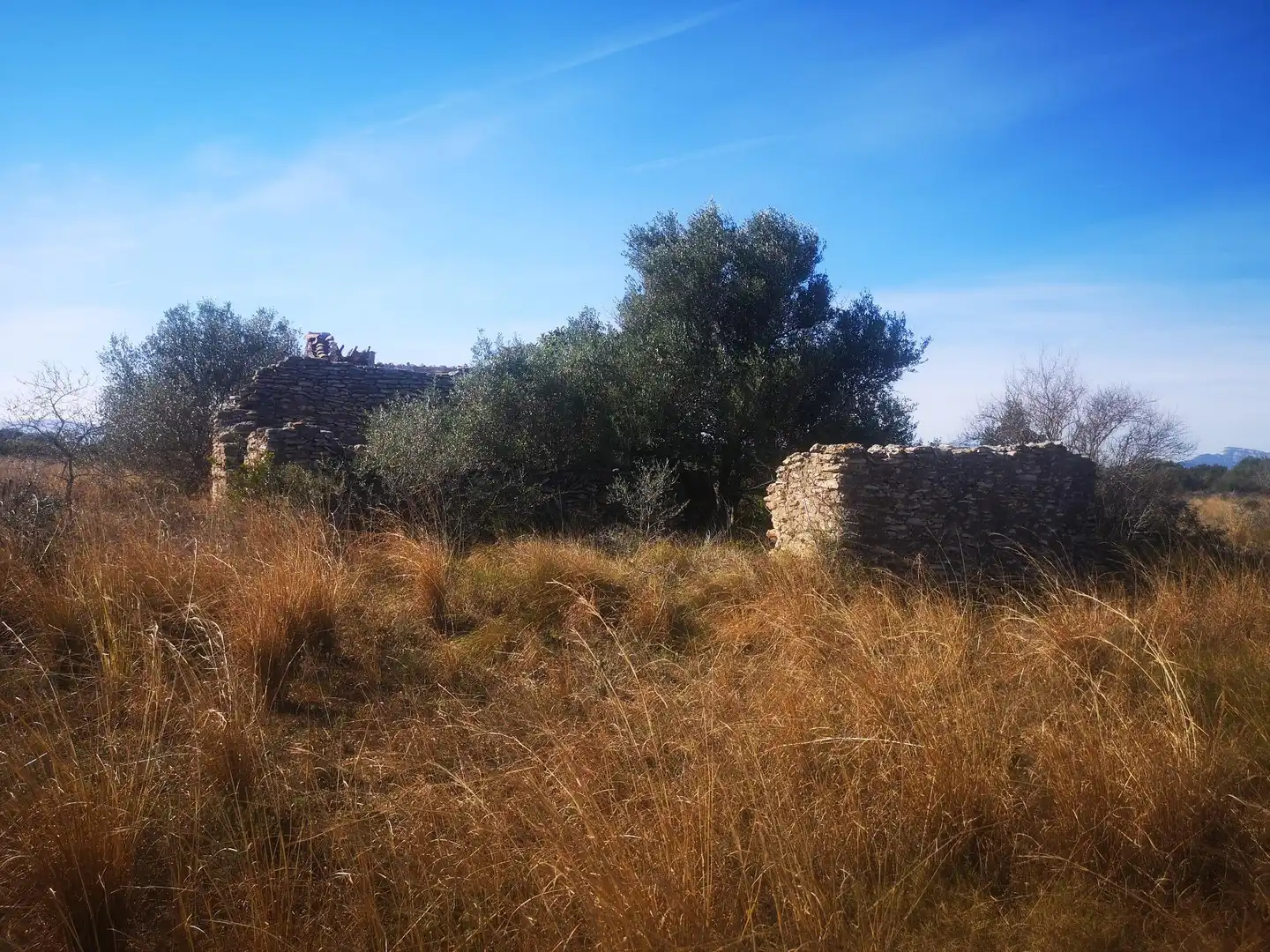 Terreno rustico in vendita a Traiguera, imagen 11