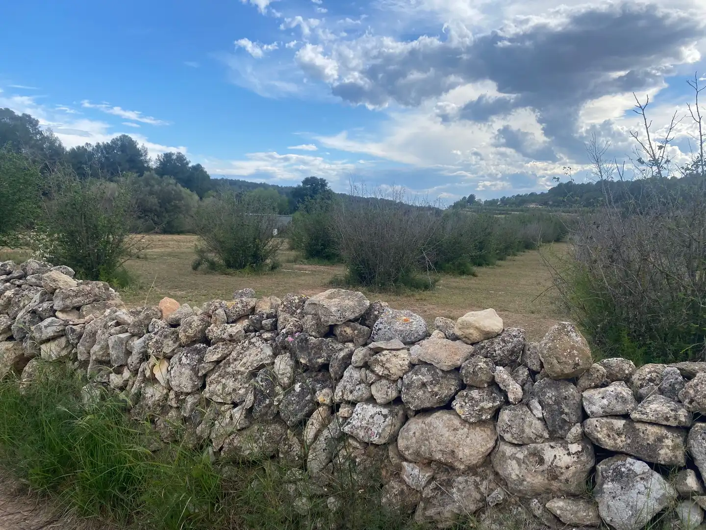 Terreno rustico in vendita a Perafort, imagen 17
