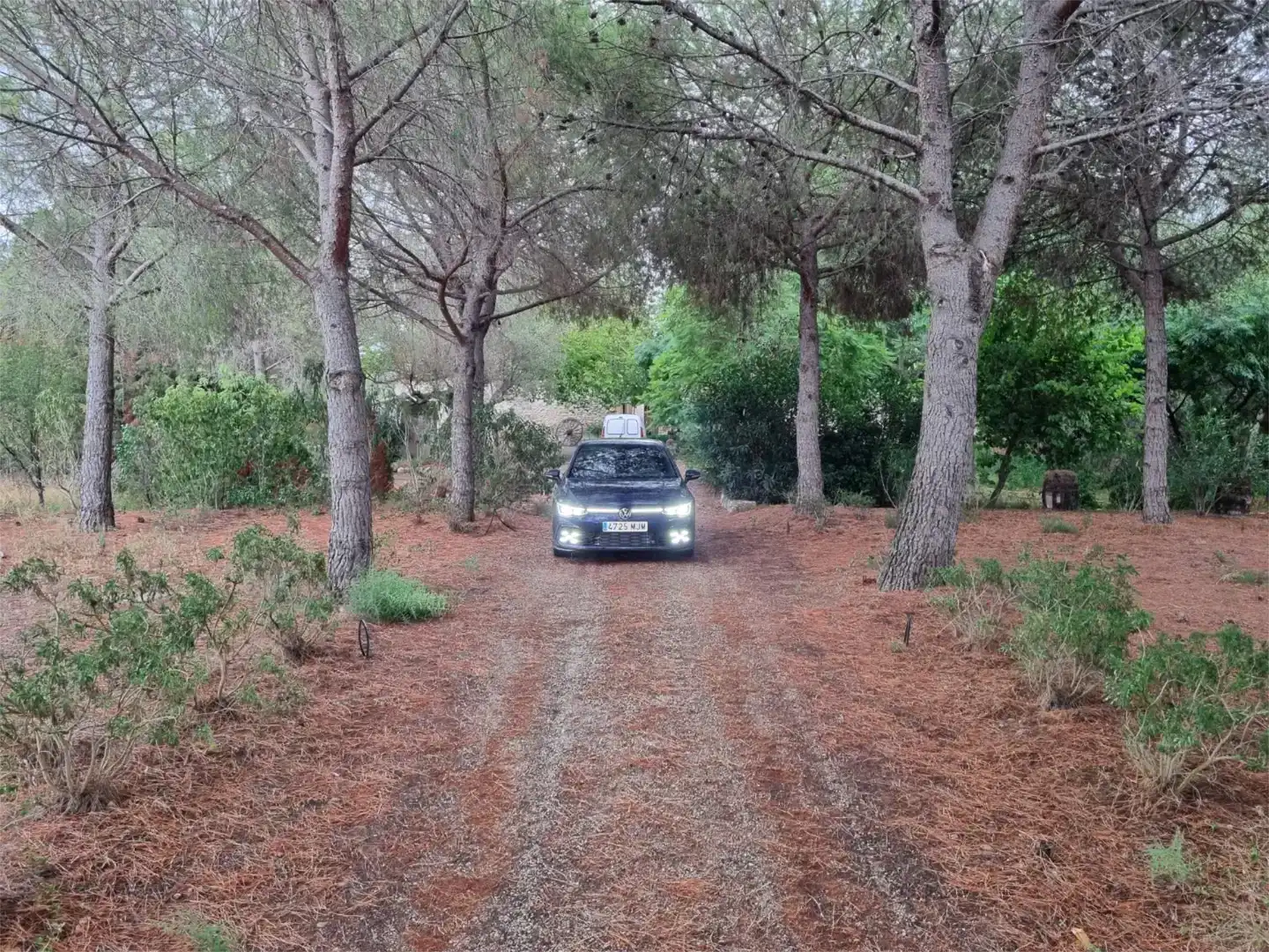 Aparcament de Finca rústica en venda en El Milà