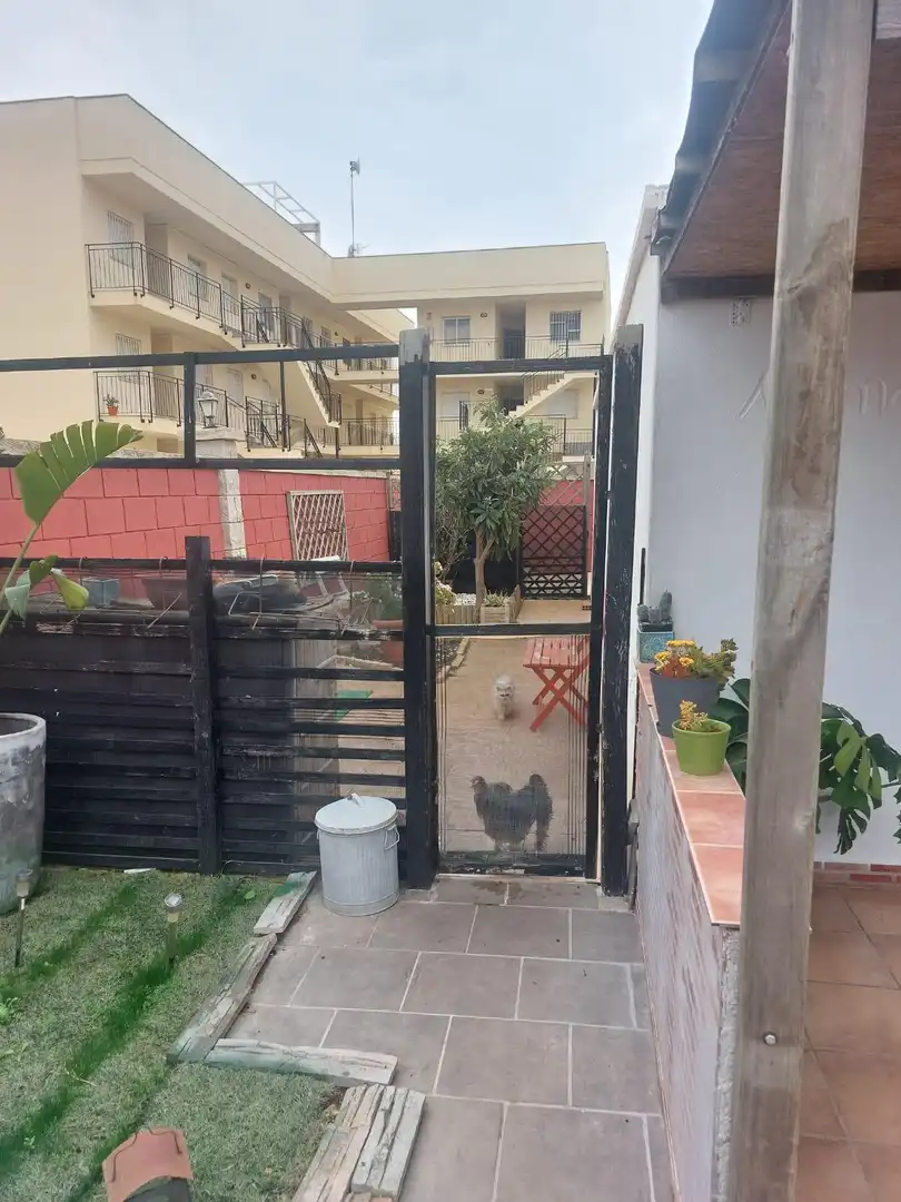 Jardín de Casa o chalet en venta en Amposta con Jardín privado, Terraza y Piscina