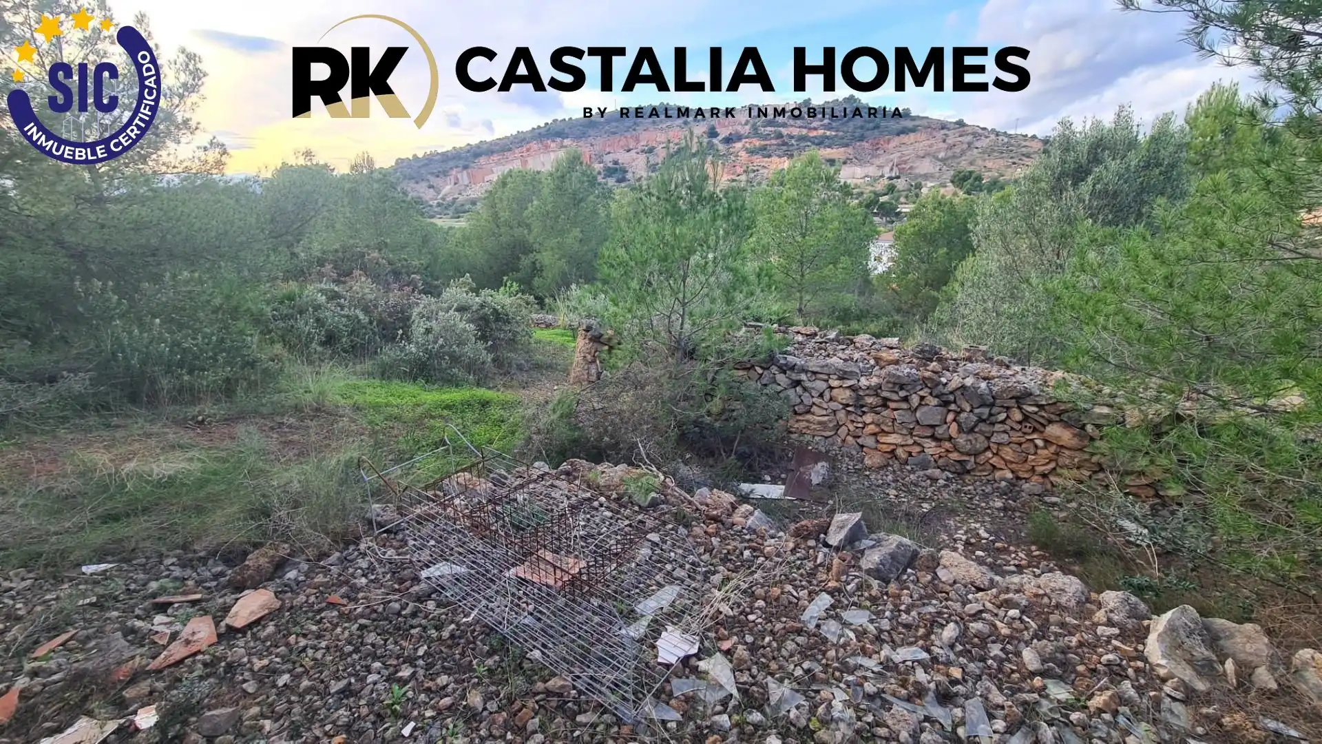 Vista exterior de Casa o chalet en venta en Borriol con Jardín privado y Piscina