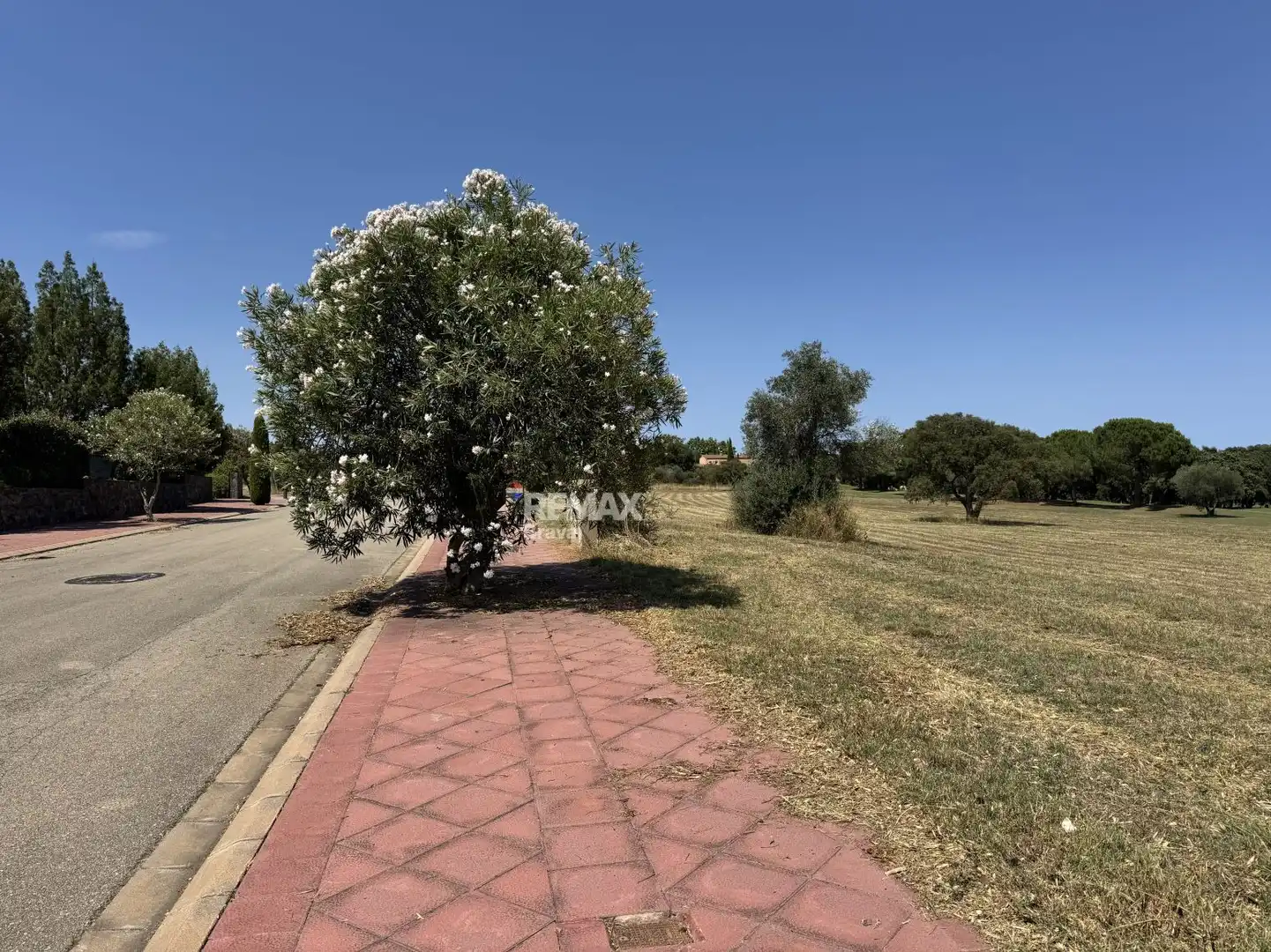 Lands and plots for sale in Calle CL FELIP L ARDIT, imagen 5