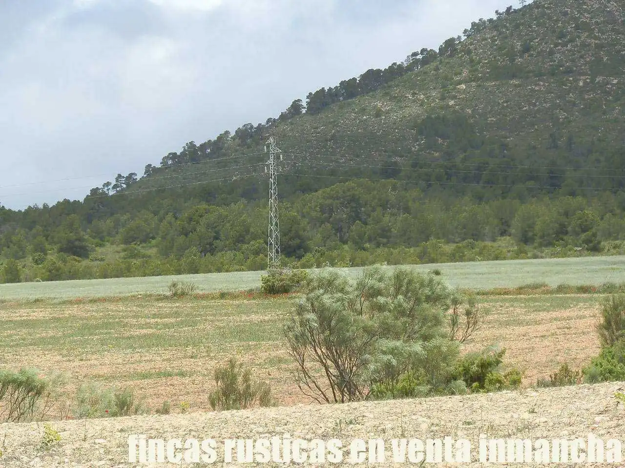 Terreni e lotti in vendita a Elche de la Sierra, imagen 26