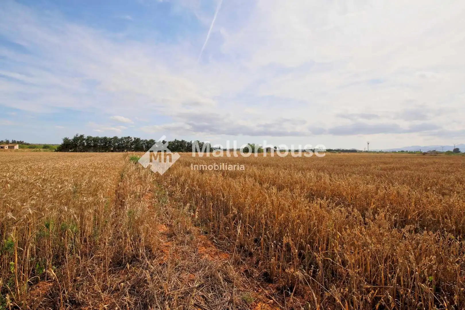 Lands and plots for sale in Polígono 10, imagen 11