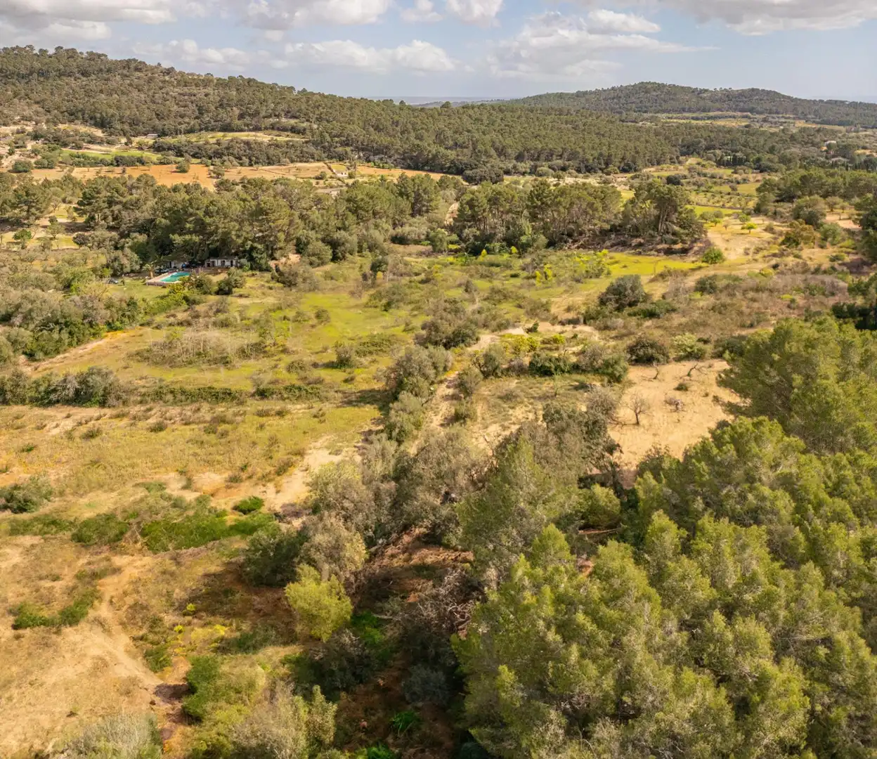 Terreno rustico in vendita a Llucmajor pueblo, imagen 10