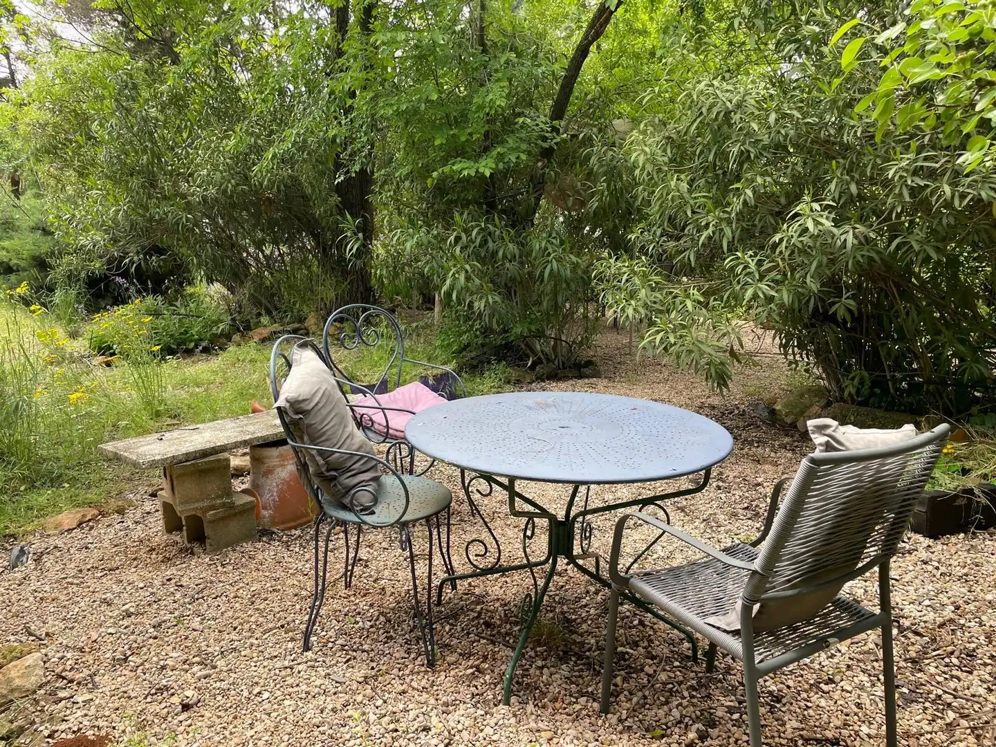 Jardí de Finca rústica en venda en Carrión de Calatrava amb Calefacció, Terrassa i Traster