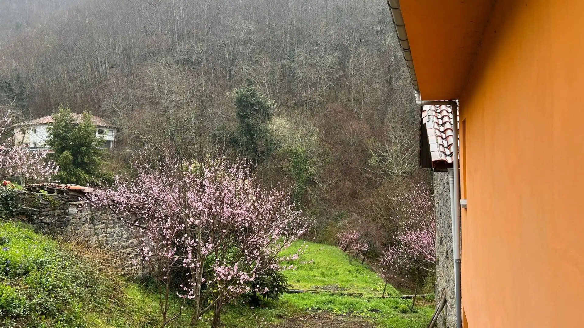 Jardí de Casa o xalet en venda en Oseja de Sajambre amb Calefacció