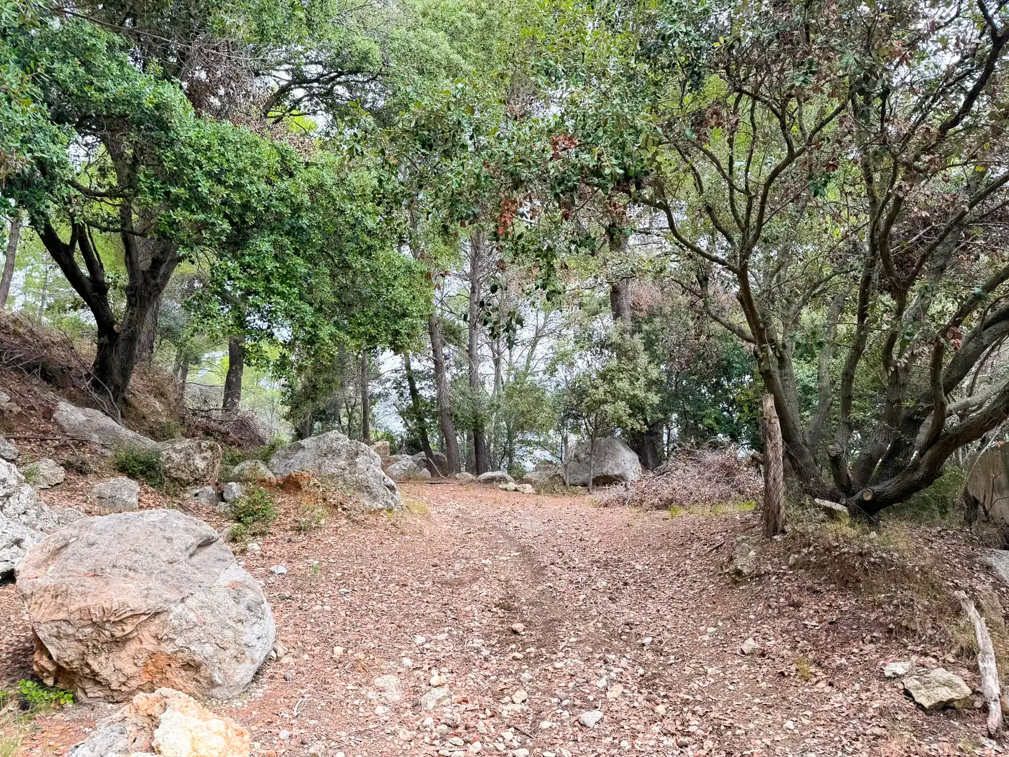 Maison rustique avec jardin à vendre à Bunyola, imagen 48