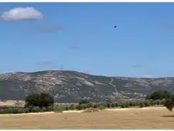 Rustikales Grundstück zum Verkauf in camino Mestanza 1, imagen 13