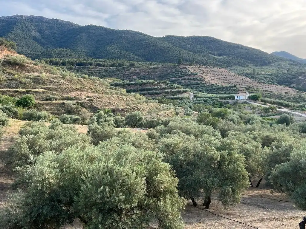 Casa rustica in vendita a Los castillos, el valle, imagen 21