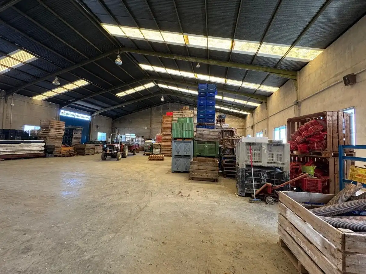 Nave industrial in vendita a La Llosa de Ranes, imagen 10