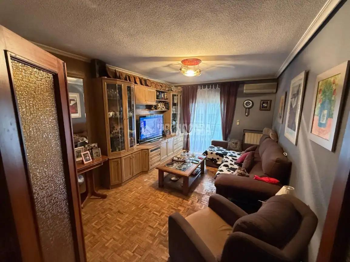 Living room of Flat for sale in Madrid