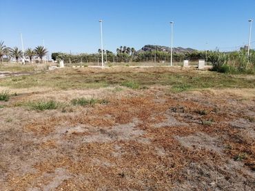 Terreny residencial en venda a Carrer Eucaliptus 2A