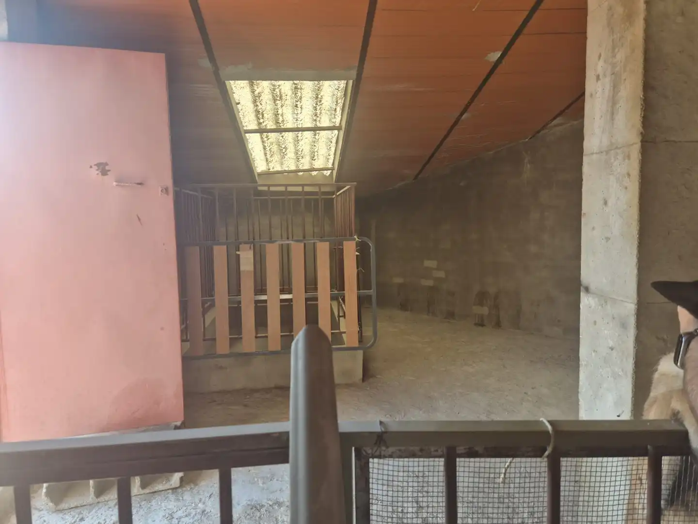 Immobles singulars en venda a Villanueva de la Serena, imagen 29