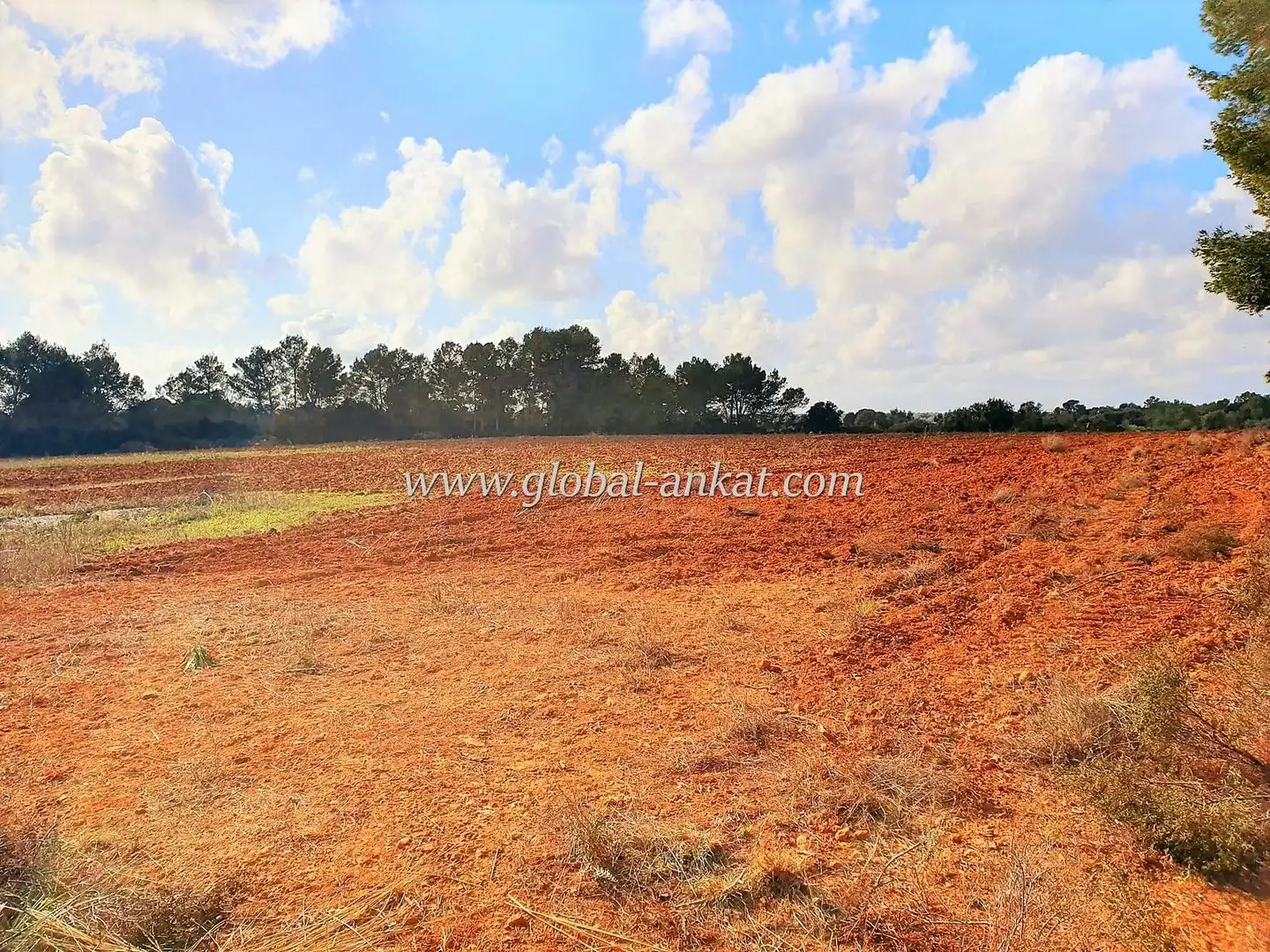 Residential land for sale in Zona Rústica - Interior, imagen 4