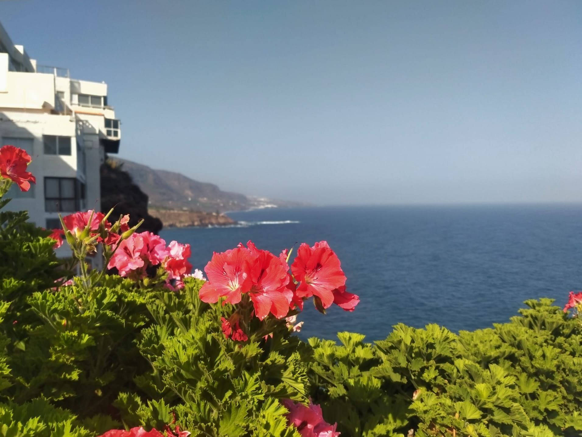 Außenansicht von Wohnung zur Miete in Los Realejos mit Heizung, Terrasse und Möbliert