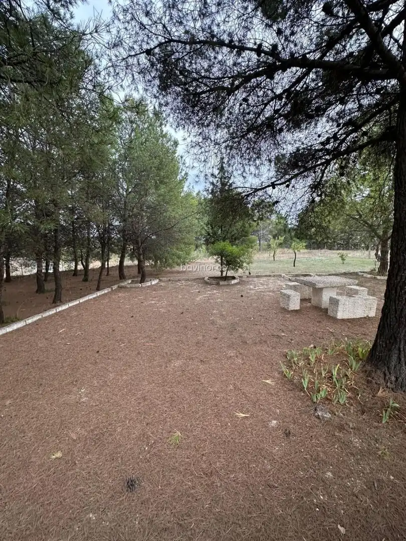Chalet con jardín en venta en Aledo, imagen 15