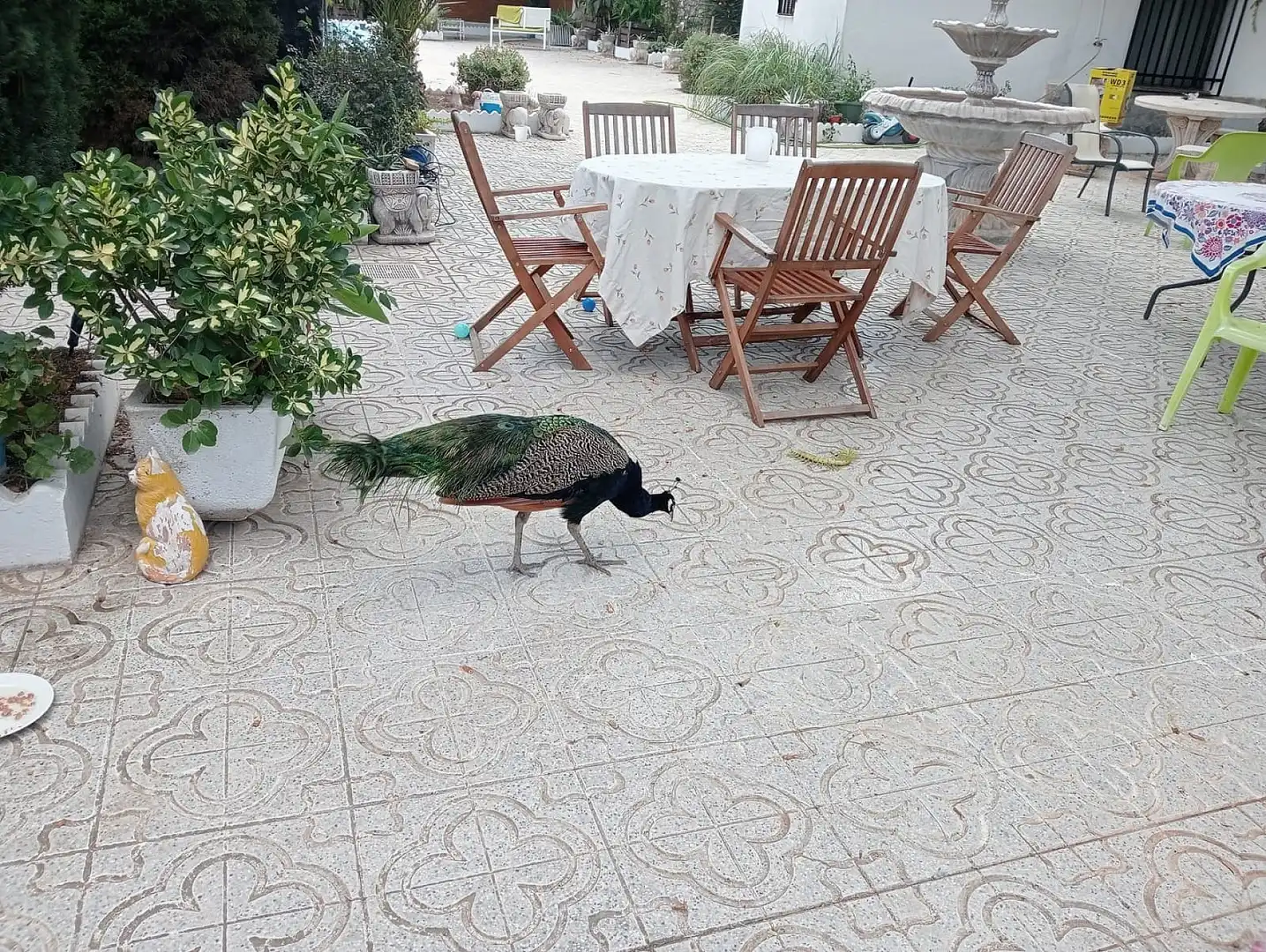 Villa à vendre à Sax, imagen 15