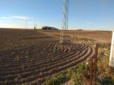 Terreno rustico in vendita a Ctra Sanlúcar - Cuatro Pinos