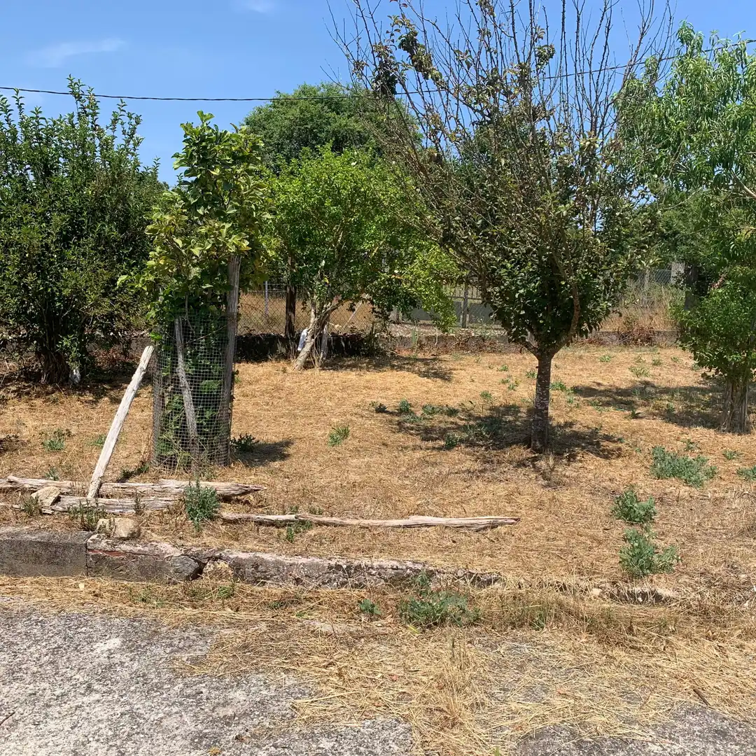 Casa amb jardí en venda a O Saviñao, imagen 5