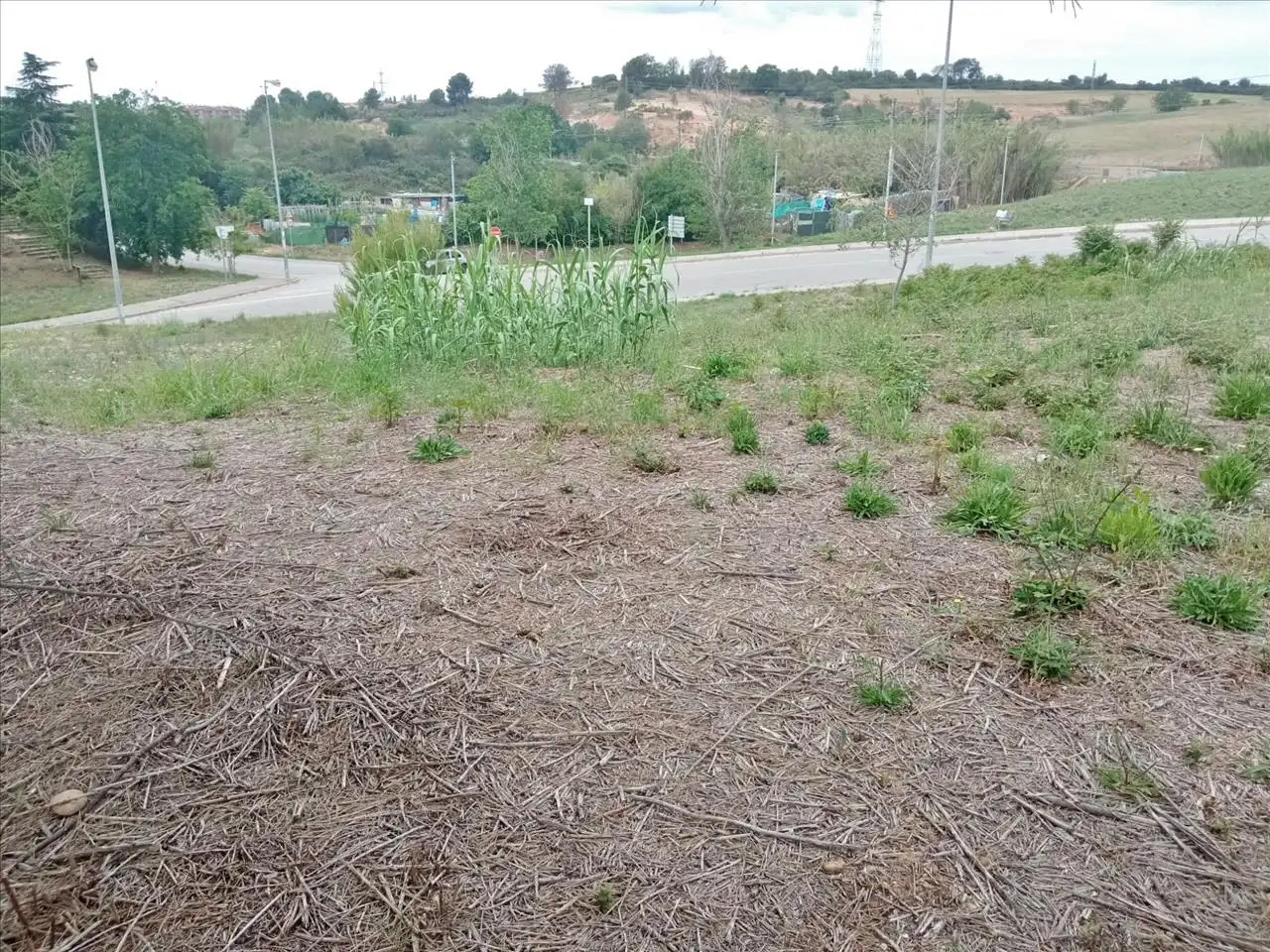 Terreno industriale in vendita a Zona Nord, imagen 7