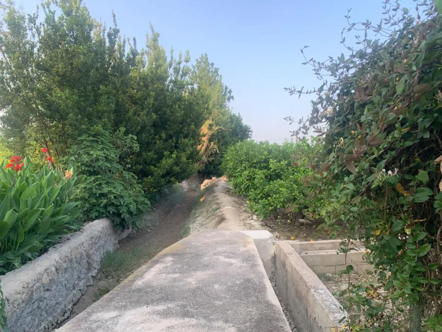 Finca rústica en venda a Alquerías