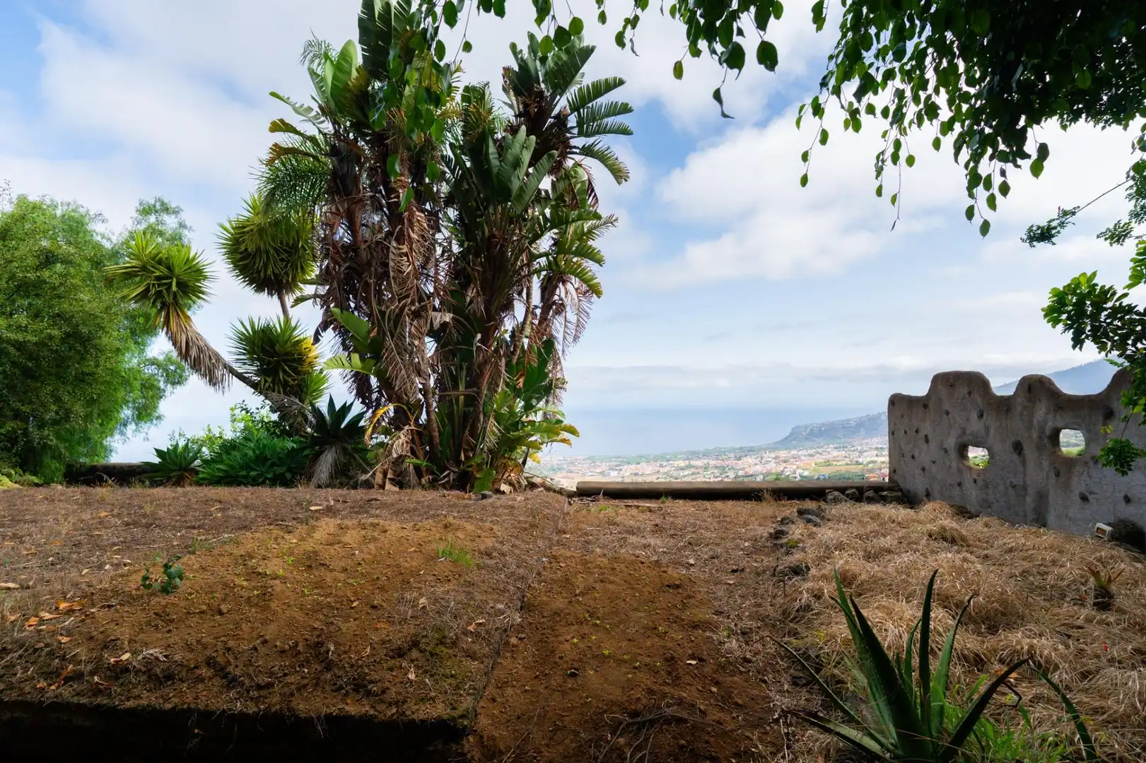 Maison rustique avec jardin à vendre à La Perdoma - San Antonio - Benijos, imagen 19