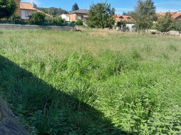 Rural land for sale in Caranceja - Bº Caranceja