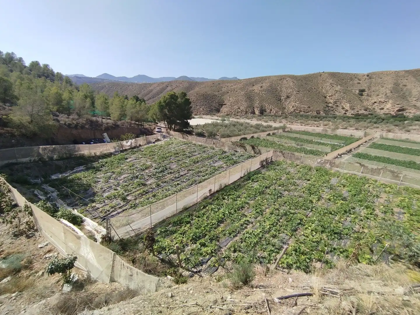 Terreno rustico in vendita a Santa Fe de Mondújar, imagen 10