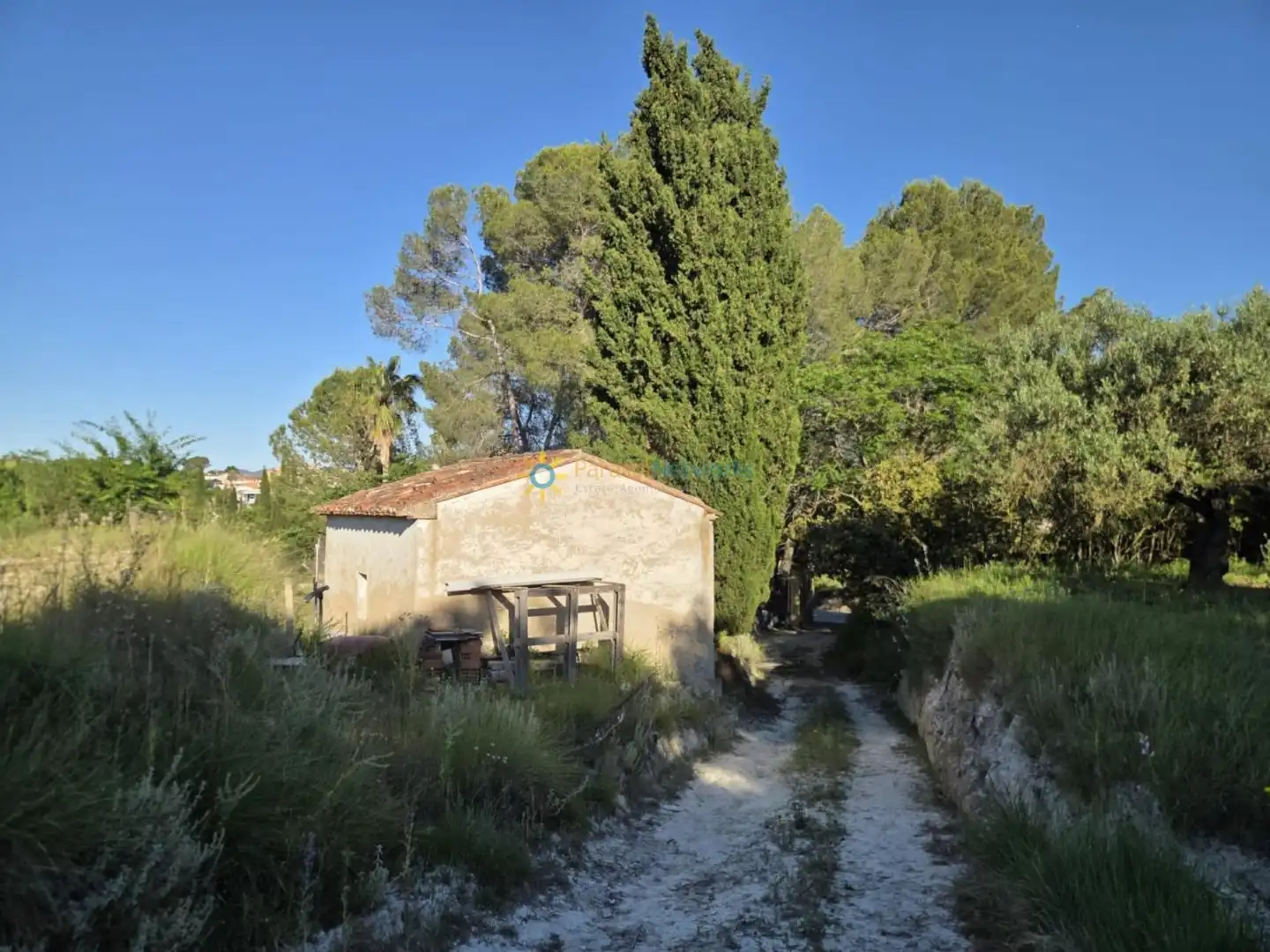 Terreno rustico in vendita a Bélgida