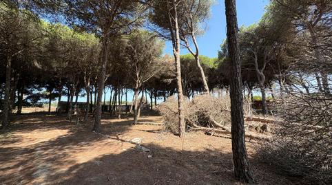 Foto 5 de Terreno en venta en Las Lagunas - Campano, Cádiz